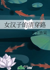 《女汉子的清穿路》