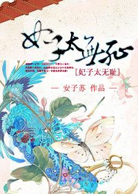 《妃子太无耻》