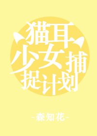《〖柳生篇〗猫耳少女捕捉计划》
