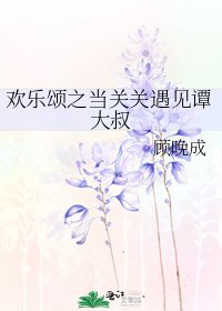 《欢乐颂之当关关遇见谭大叔》