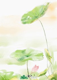 《洛篮》