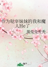 《(综漫同人)作为哒宰妹妹的我和魔人He了》