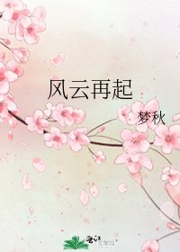 《风云再起》