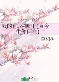 《我的你,在哪里(原今生你何在)》