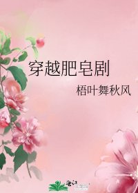 《穿越肥皂剧》