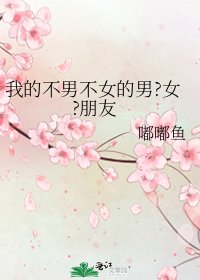 《我的不男不女的男?女?朋友》