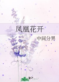 《凤凰花开》