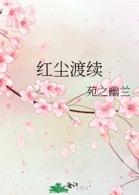 红尘渡续