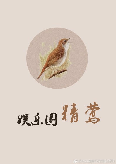 《娱乐圈精莺》