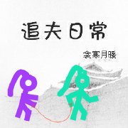 《追夫日常》