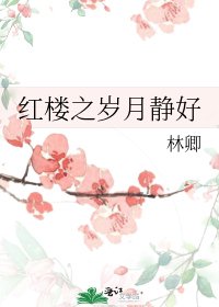《红楼之岁月静好》