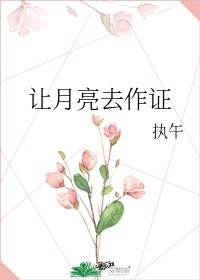 《让月亮去作证》