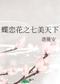 《蝶恋花之七美天下》