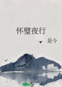 《怀璧夜行》
