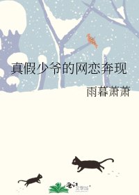《真假少爷的网恋奔现》