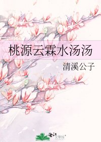 《桃源云霖水汤汤》