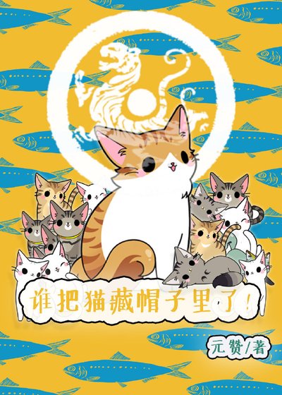 《谁把猫藏帽子里了》