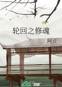 《轮回之修魂》