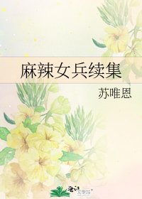 《麻辣女兵续集》