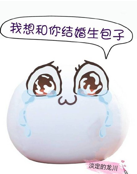 《我想和你结婚生包子》