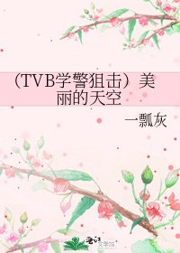 《(TVB学警狙击)美丽的天空》