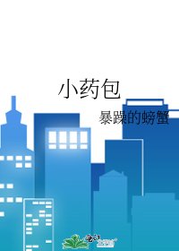 《小药包》