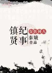 《镇贤纪事(女医明妃传同人)》