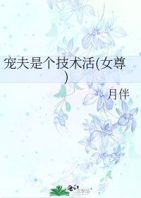 《宠夫是个技术活(女尊)》
