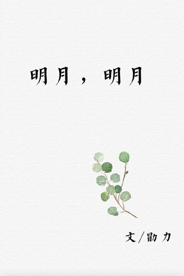 《明月,明月》