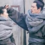 《女医明妃传番外之半缘修道半缘君》