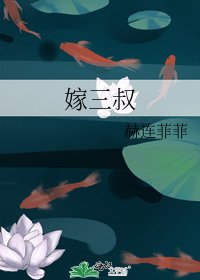 《嫁三叔》
