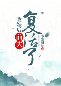 《改嫁后前夫复活了》