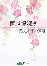 《南风惊婉挽》