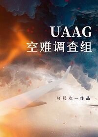 《UAAG空难调查组》