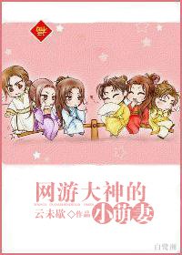 《网游大神的小萌妻》
