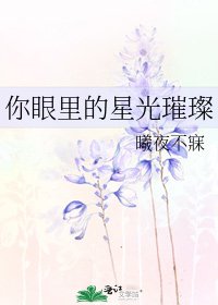 《你眼里的星光璀璨》