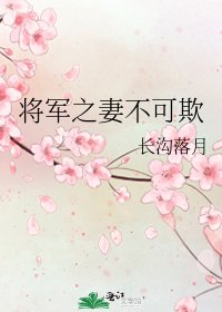 《将军之妻不可欺》