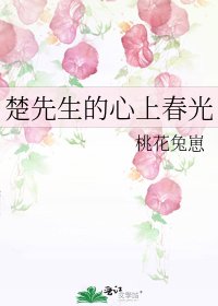 《楚先生的心上春光》