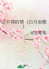 《还不得的情(白月如歌)》
