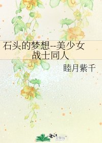 《石头的梦想--美少女战士同人》