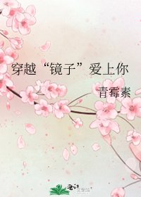 《穿越“镜子”爱上你》