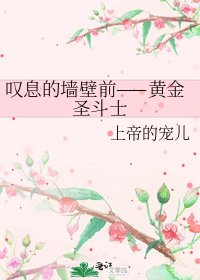 《叹息的墙壁前——黄金圣斗士》