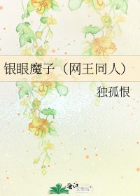 《银眼魔子(网王同人)》