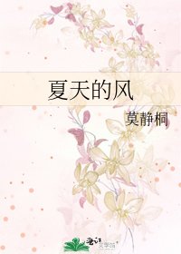 《夏天的风》