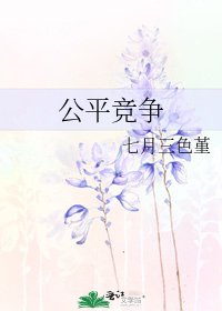 《公平竞争》