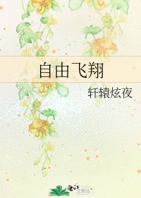 《自由飞翔》