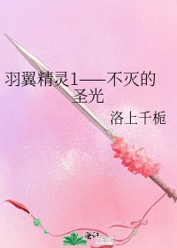 《羽翼精灵1——不灭的圣光》