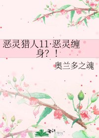 《恶灵猎人11·恶灵缠身?!》