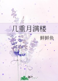 《几重月满楼》