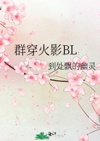 《群穿火影BL》